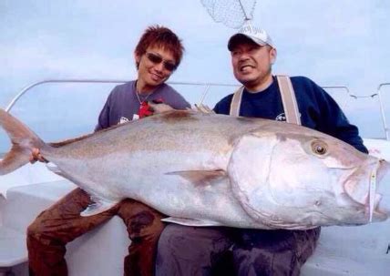 夢到釣到大魚|周公解夢夢見釣到大魚是什麼意思，夢到釣到大魚好不好